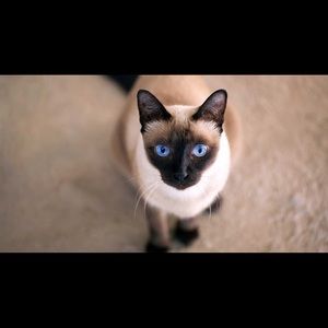 Meet your Posher, Theresa